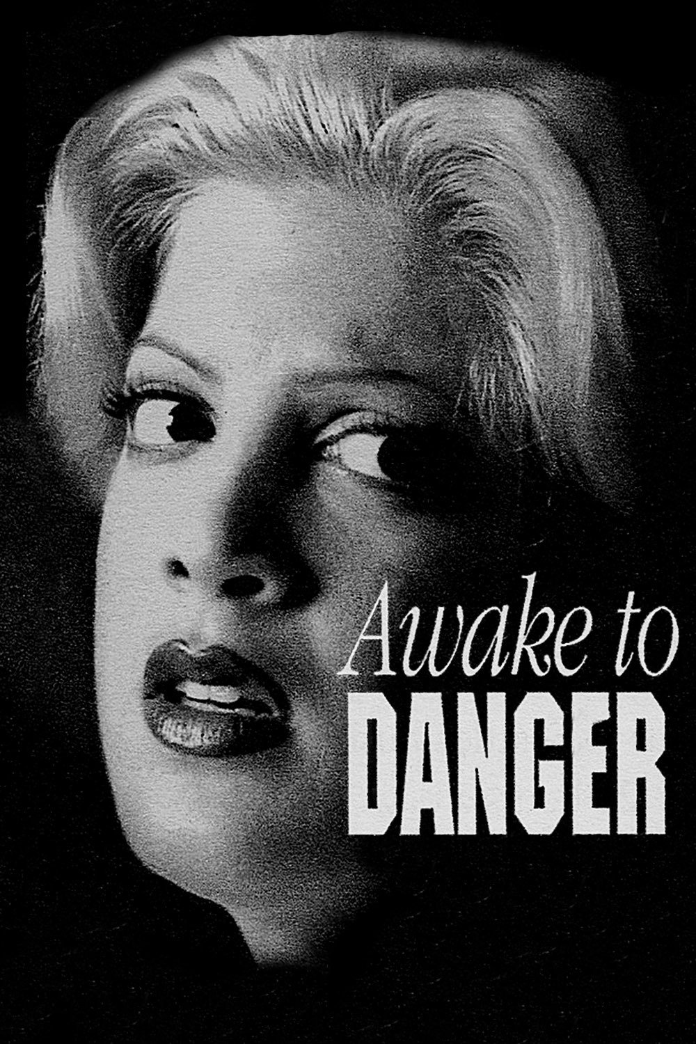 Постер Awake to Danger